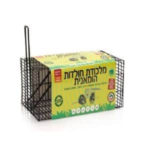 מלכודת חולדות