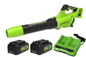 מפוח עלים 48V(2X24V) Brushless עם שתי סוללות 5.0Ah שקע USB