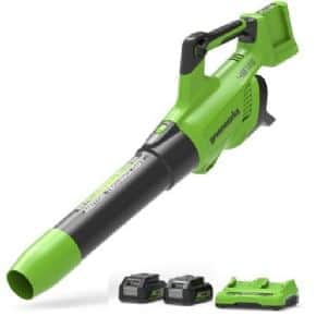 מפוח BL (2X24V) 48V+שתי סוללות 4.0Ah + מטען Port greenworks