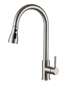 ברז נשלף PAVONE נירוסטה מוברש AQUILA