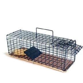 מלכודת מכרסמים הומנית | בלאק ממבה